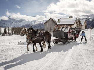 Passo San Pellegrino-Falcade