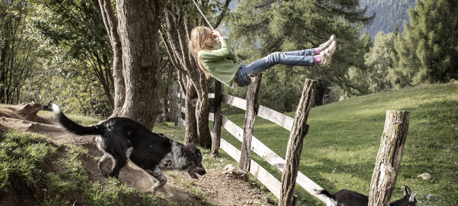 Valle dei Mòcheni: a trilingual land
