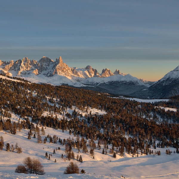 Val di Fiemme - Bellamonte - Panorama sulle Pale di San Martino