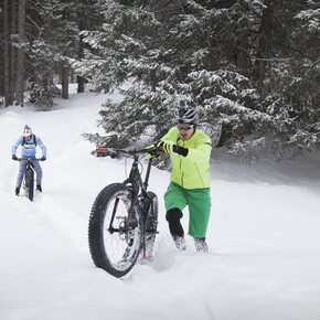 Fat Bikes