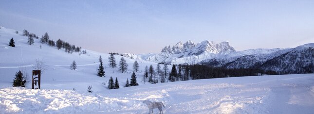 Network of Nature Reserves - Val di Fassa