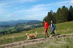 Val di Fiemme - Trekking, passeggiata con il cane
