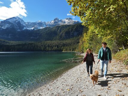 Lake Tovel - Hiking with dogs