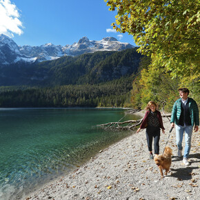 Lake Tovel - Hiking with dogs