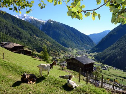 Val di Sole