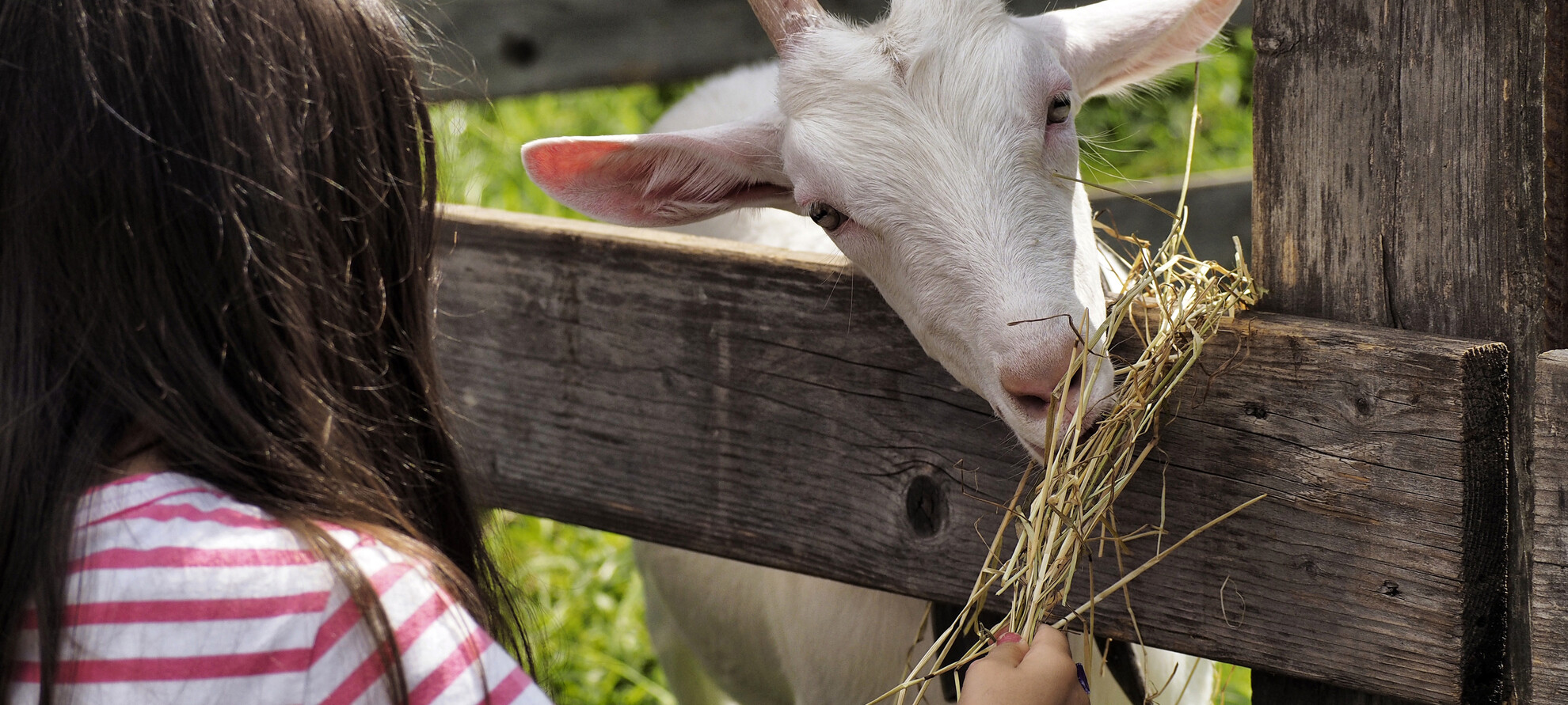 Farmers for a day