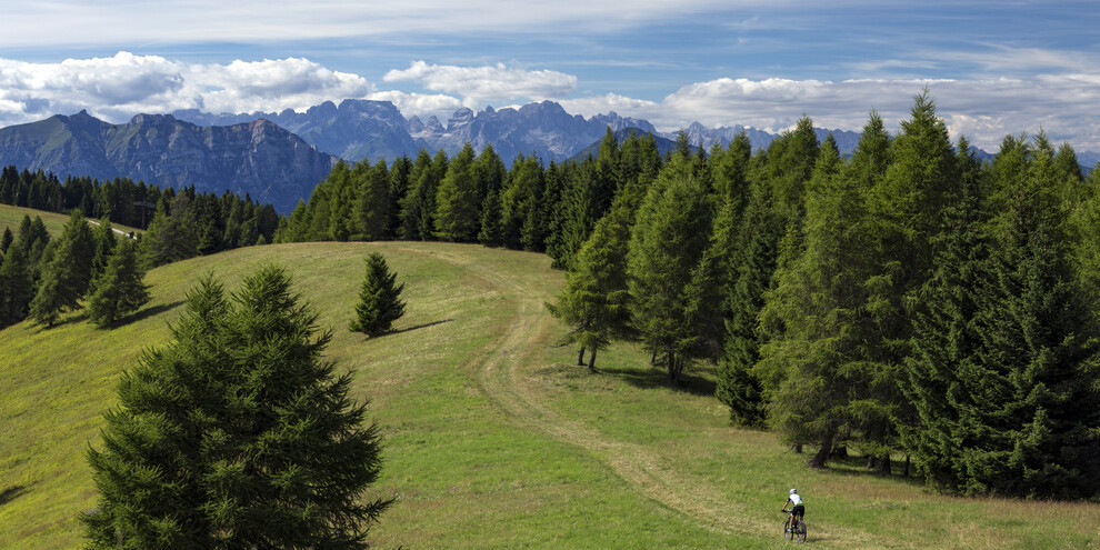 Байк-Шаттл Альпе-Чимбра