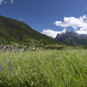 Primiero - Mezzano