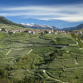 Terres - Contà