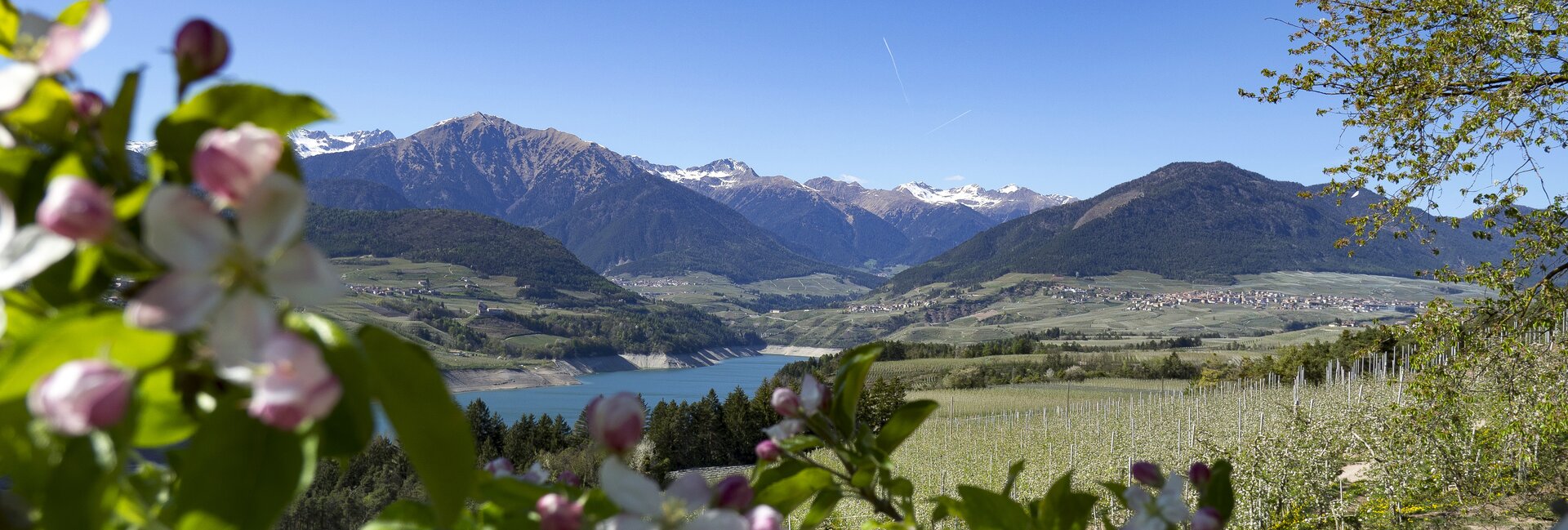 Val di Non - Panorama su Cles
