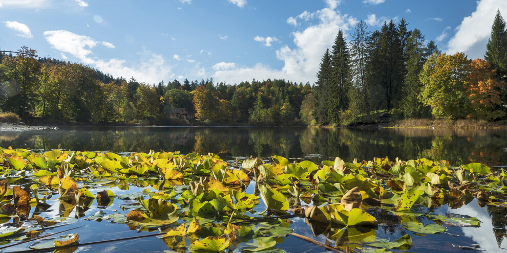 Lakes and autumn walks in Trentino