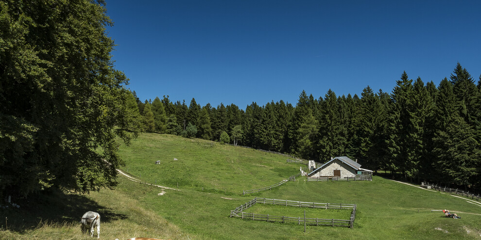 On the Monte of Mezzocorona