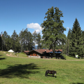 At the Potzmauer Refuge