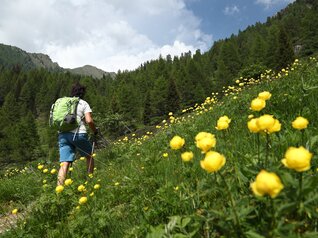 Valle dei Mocheni - Palu del Fersina -  Alta Val Del Laner - Rifugio Sette Selle
