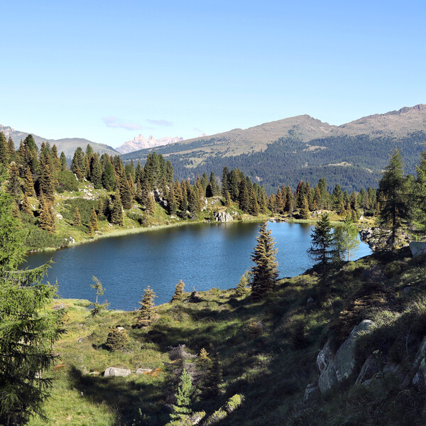 Lagorai - Passo Rolle - Rifugio Laghi di Colbricon