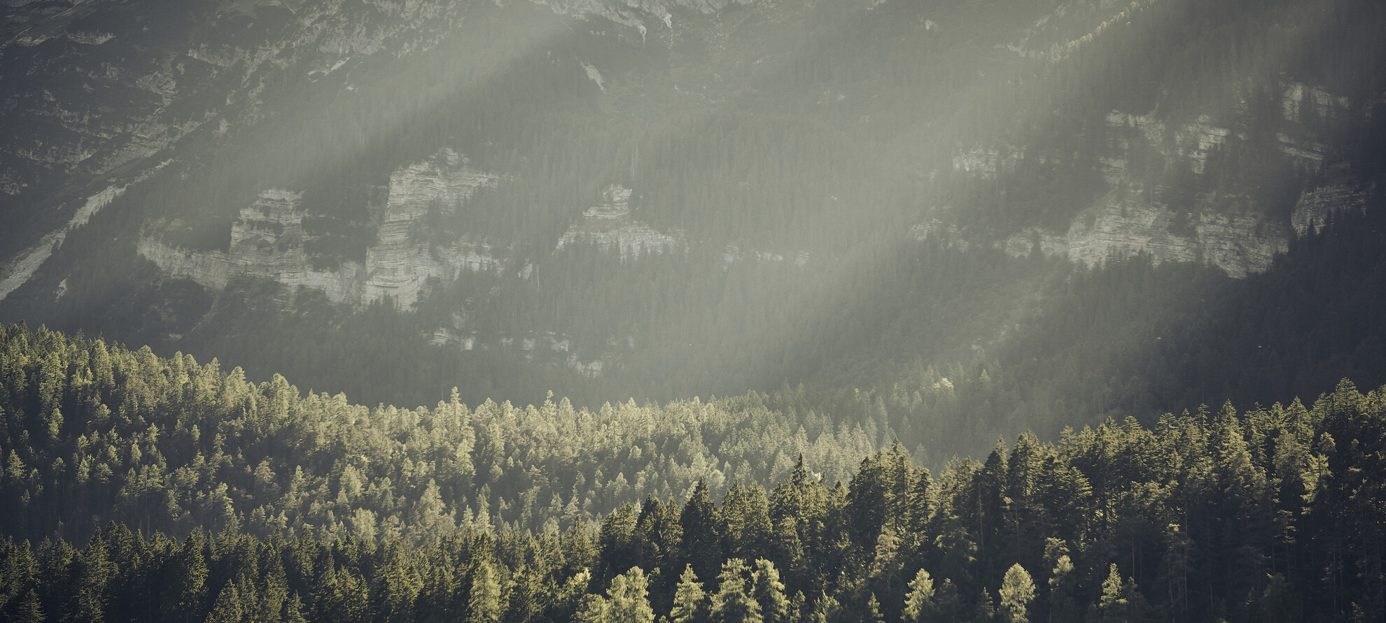 A tankard full of... local flavour
