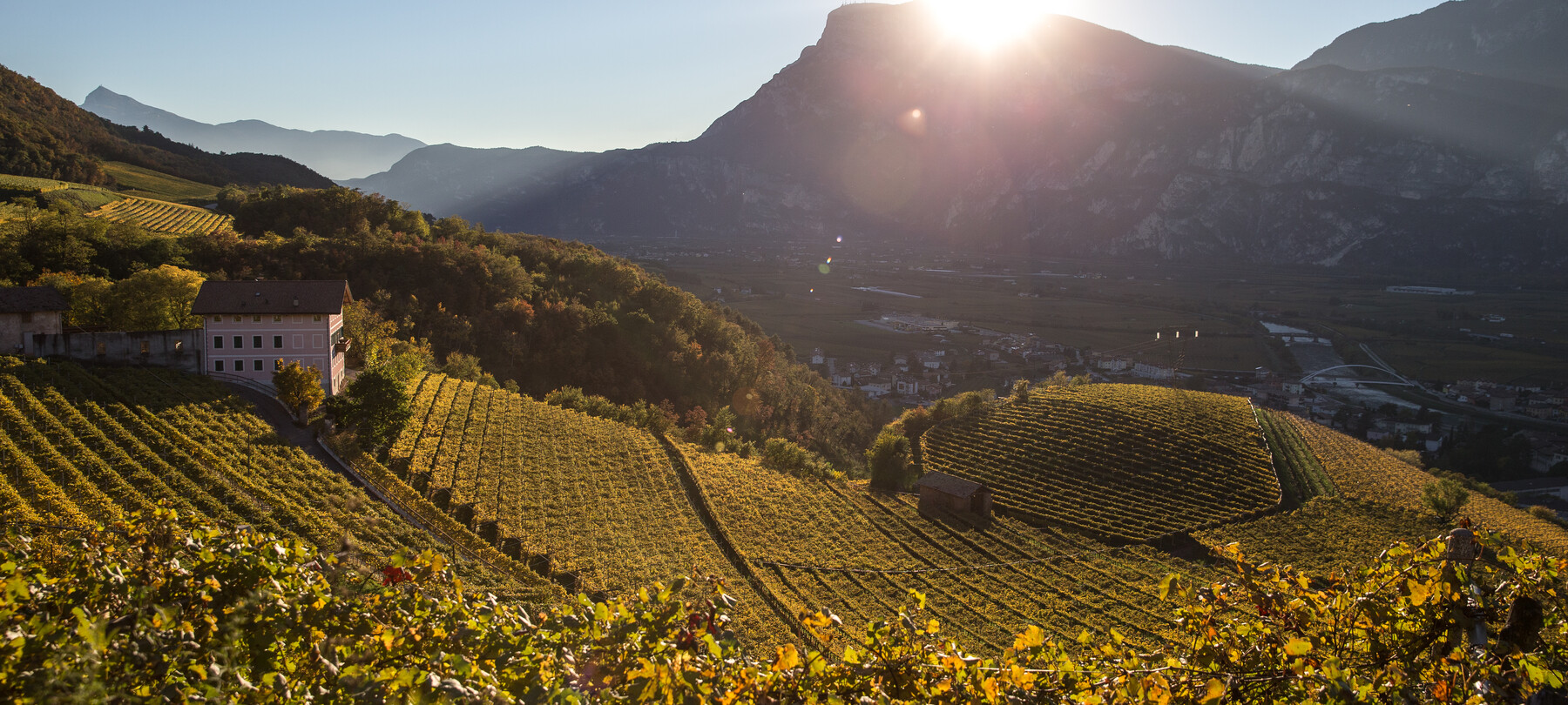 Wijntoerisme: Teroldego ontdekken op de Piana Rotaliana