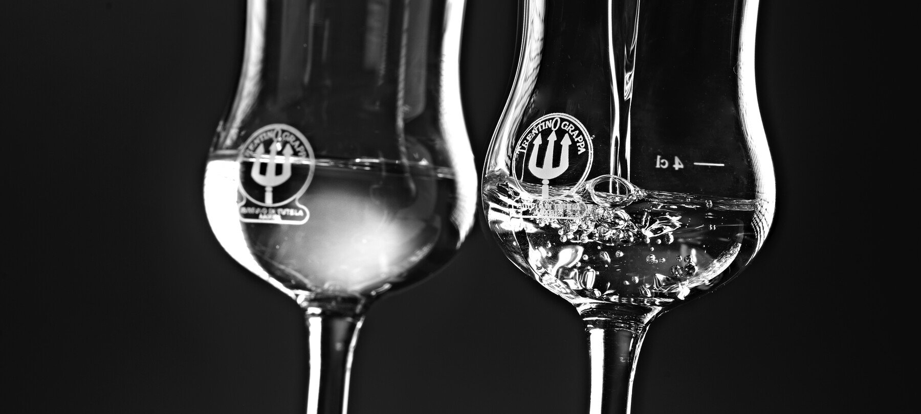  Trentino Grappa - Bicchieri
