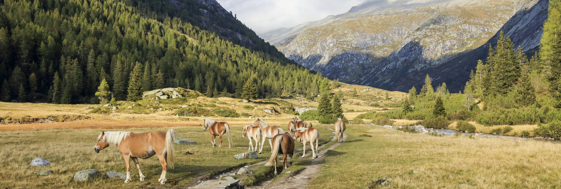 Valli Giudicarie and Valle del Chiese