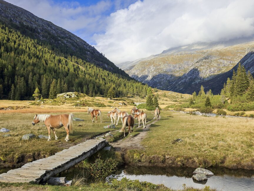 Valli Giudicarie and Valle del Chiese