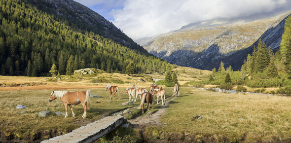 Valli Giudicarie and Valle del Chiese