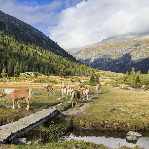 Valli Giudicarie and Valle del Chiese