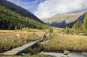 Valli Giudicarie and Valle del Chiese