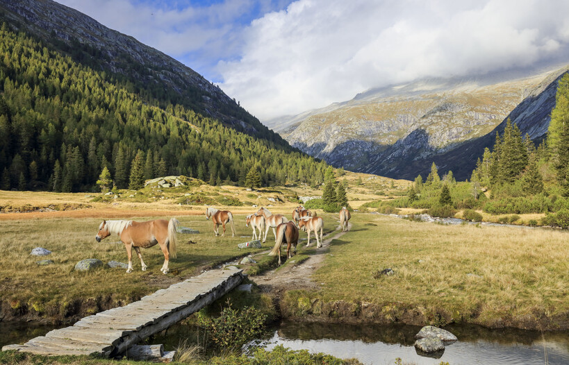 Nature Park Adamello Brenta