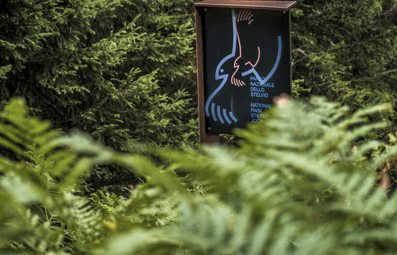 Val di Rabbi - Malga Caldesa Bassa