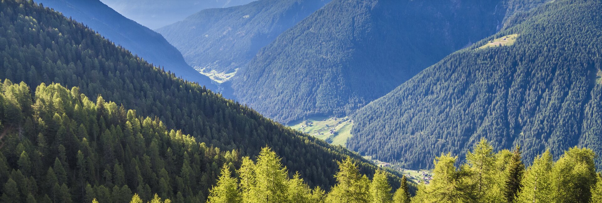 Stelvio National Park