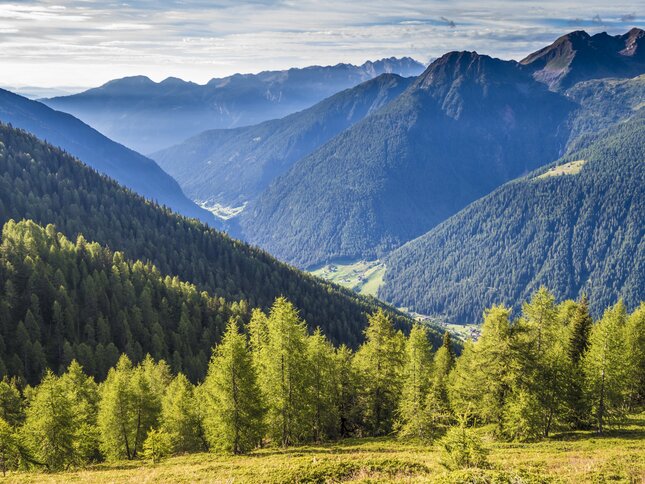 Stelvio National Park