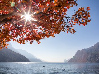 Garda Trentino, Valle di Ledro and Valle dei Laghi