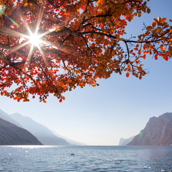 Trentiner Gardasee, Comano Terme, Ledrotal und Valle dei Laghi