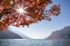 Alto Garda - Torbole