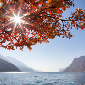 Alto Garda - Torbole
