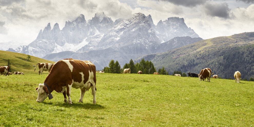 Fuciade Mountain Hut route, Val di Fassa