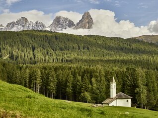 Валь-ди-Фьемме - Панорама