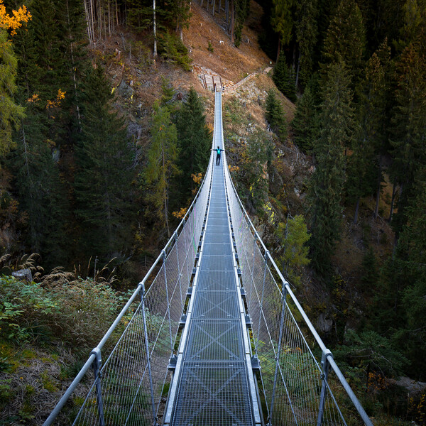 Val di Sole - Val di Rabbi - Ponte sospeso 
