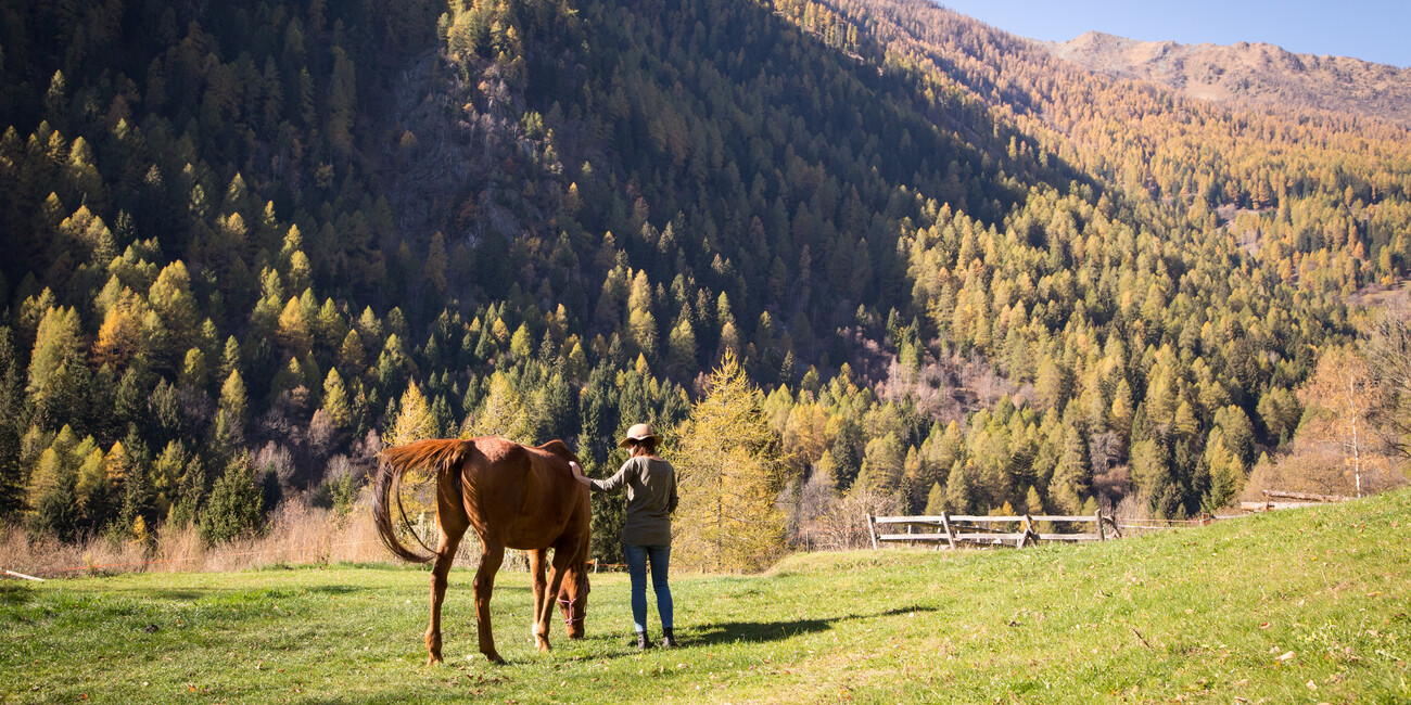 Val di Peio  #2