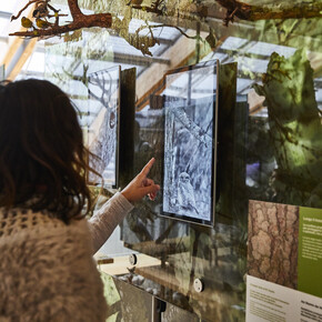 Od strašáků po vědu