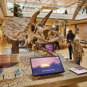 Muzea pro děti v Trentinu