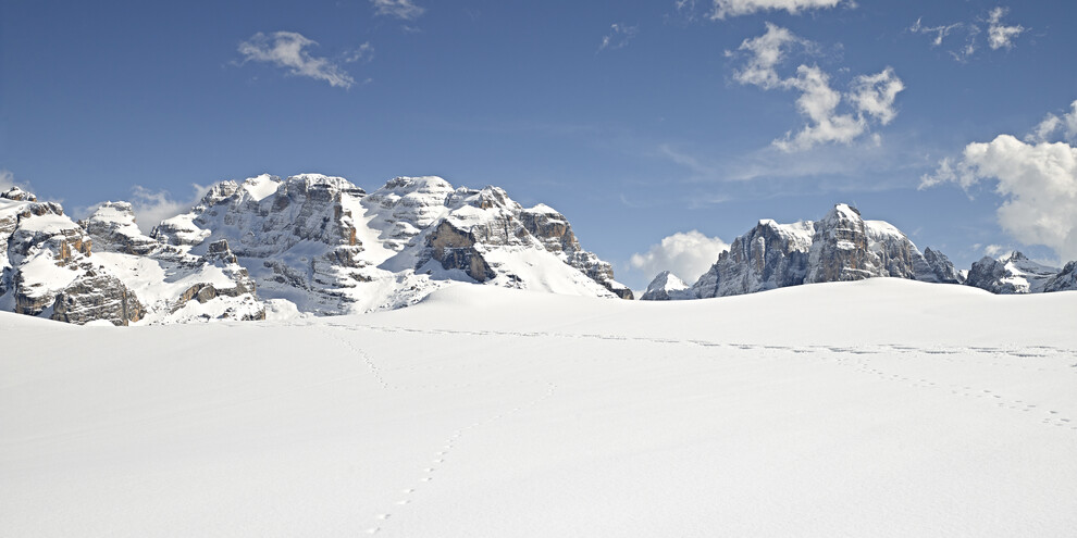 Are there flowers in winter in the Dolomites?