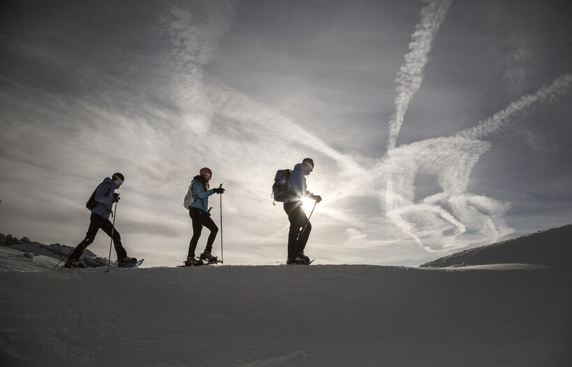Прогулки на природе