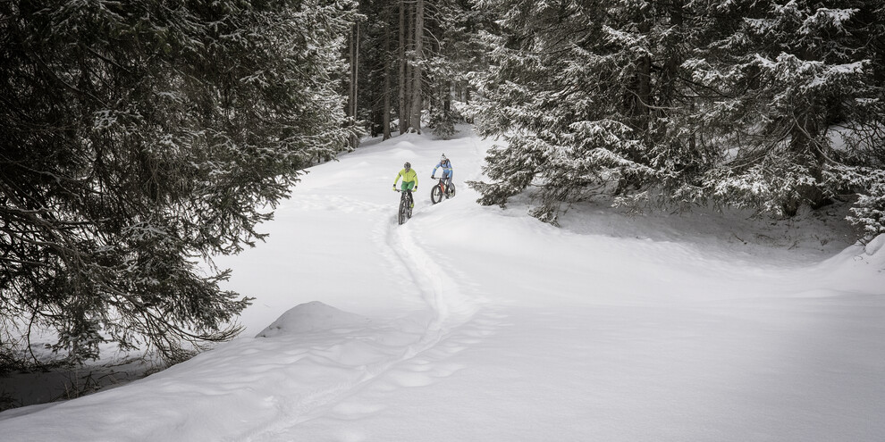 Madonna di Campiglio - Cicloturismo - Fat Bike
