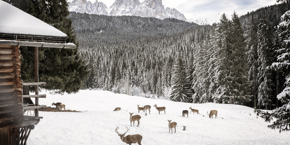 Beyond skiing, at the foot of Pale di San Martino