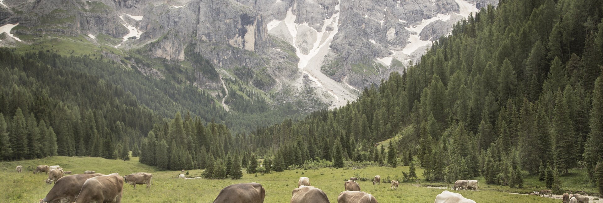 San Martino di Castrozza - Val Venegia
