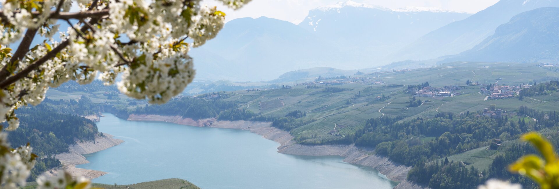 Val di Non - Lago di Santa Giustina - Meleti in fiore
