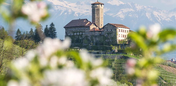 The castles are brimming with life!