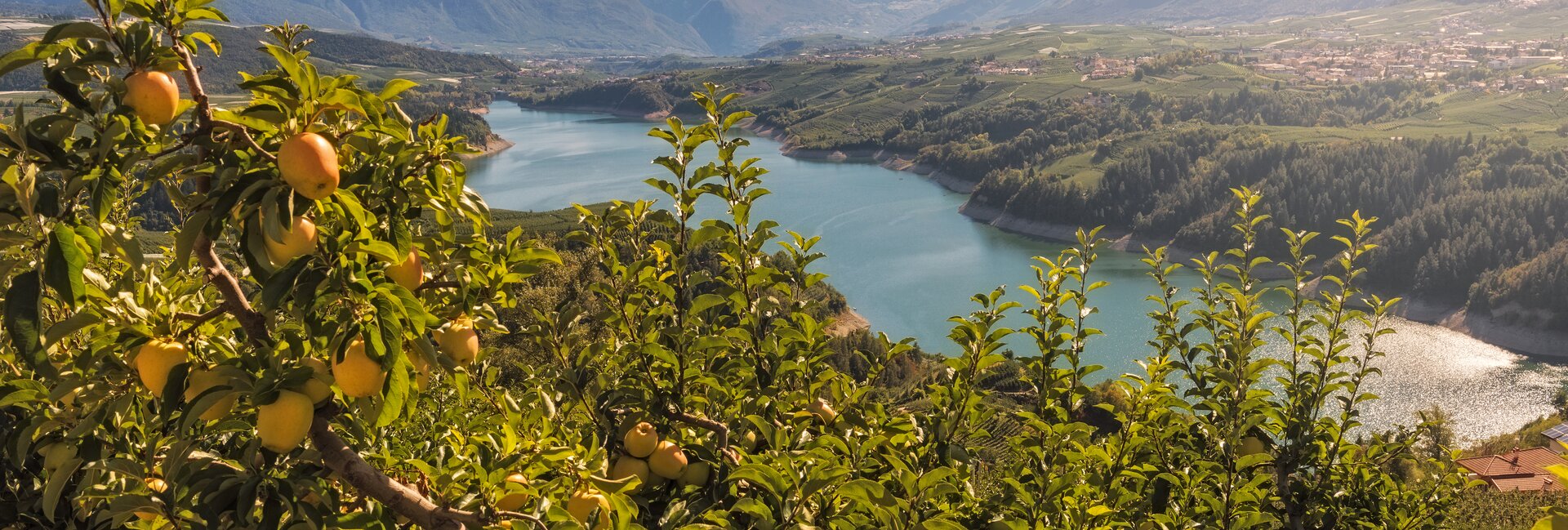 Val di Non - Lago di Santa Giustina - Panorama
