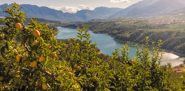 Lake Santa Giustina - The big dam in the valley of canyons